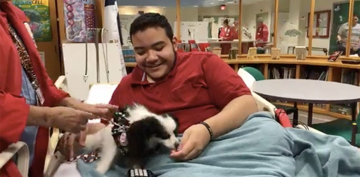 Patient interacts with a pet therapy dog. 