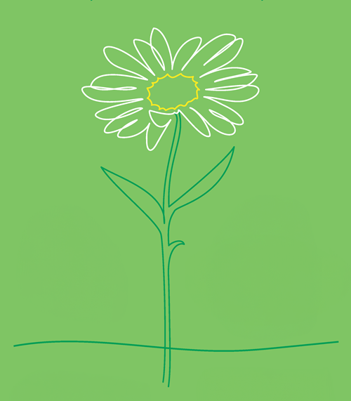 Daisy Program Flower