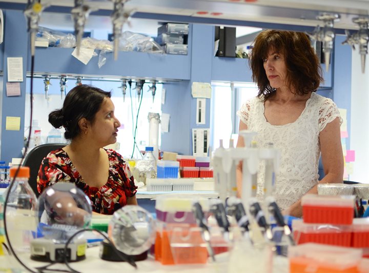 Doctors conducting molecular genetics research in laboratory at Scottish Rite for Children