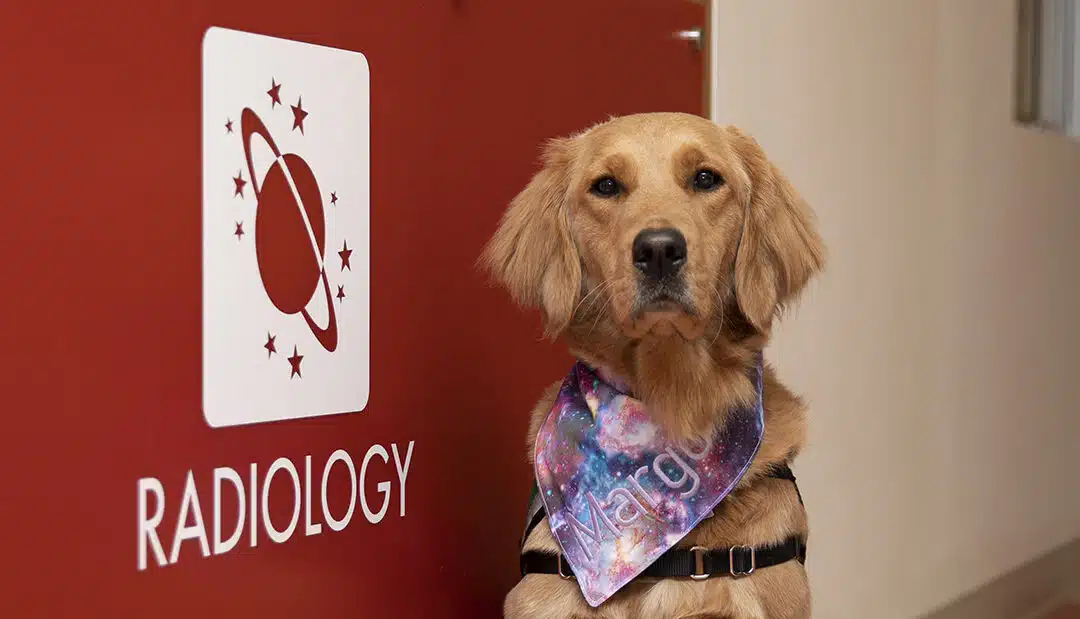 Meet Margo – Our Facility Dog